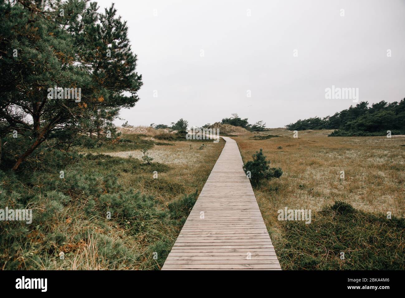 Schönes Wahrzeichen darß an der ostsee in deutschland Stockfoto