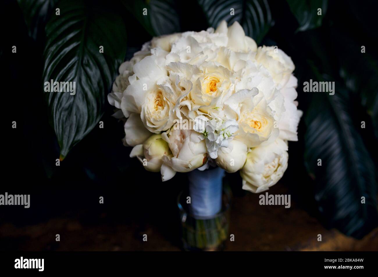 Ein großes Bouquet von weißen Rosen, Textur Stockfoto