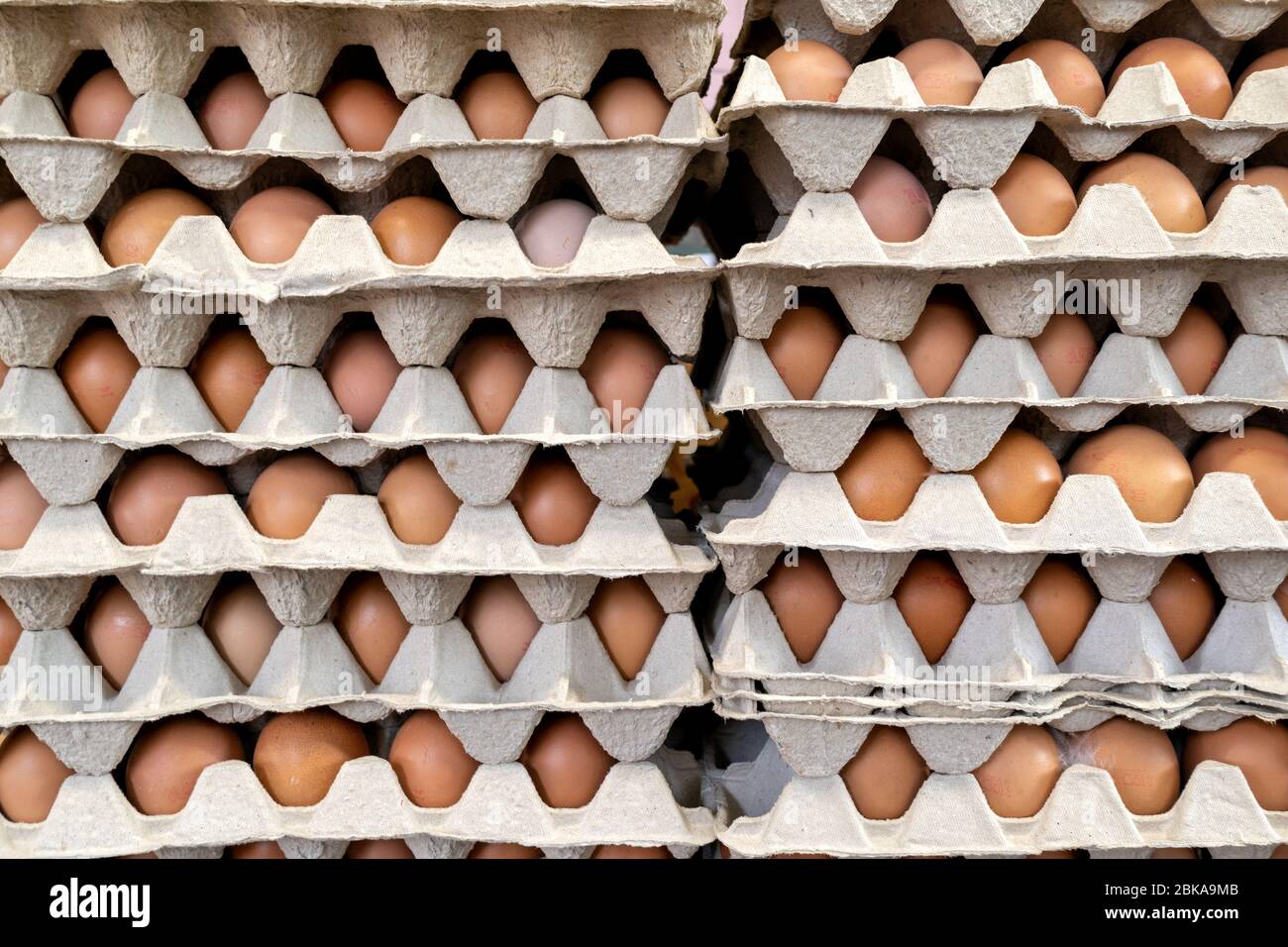 Frische Eier im Karton auf dem Markt Stockfoto