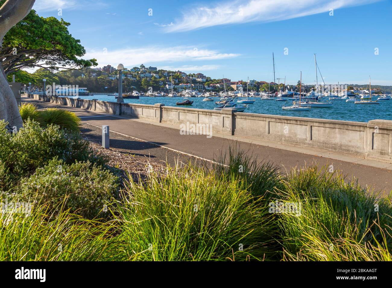 Blick auf Rose Bay, Sydney, New South Wales, New South Wales, Australien Stockfoto
