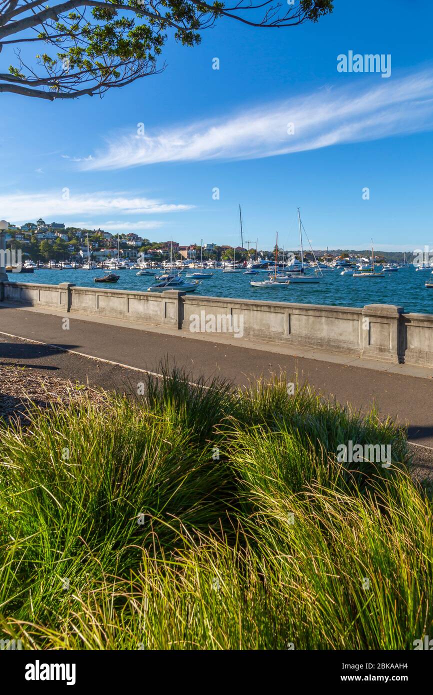 Blick auf Rose Bay, Sydney, New South Wales, New South Wales, Australien Stockfoto