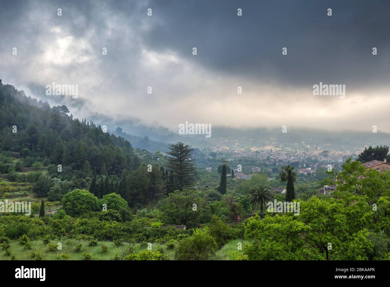 Stimmungsvolle Landschaft mit grüner Vegetation in der Nähe von Fornalutx, Soller Valley, Mallorca, Spanien Stockfoto