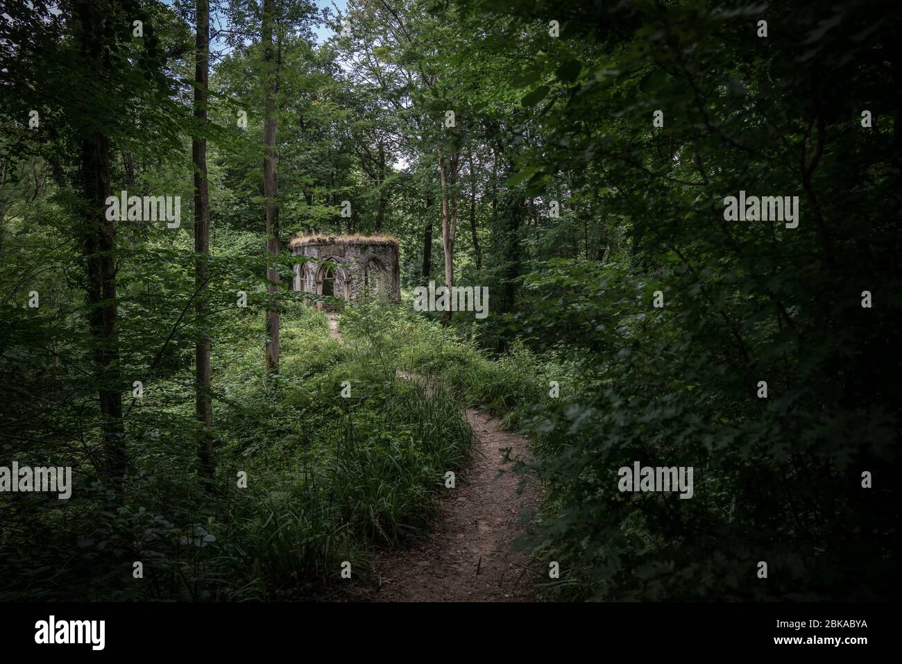 Folgen Sie dem Pfad zu einem verlassenen, dachlosen Unterschlupf und einem Ort der Ruhe, der tief im Wald versteckt ist. Ein Ort der Besinnung und Reflexion und des Friedens. Stockfoto