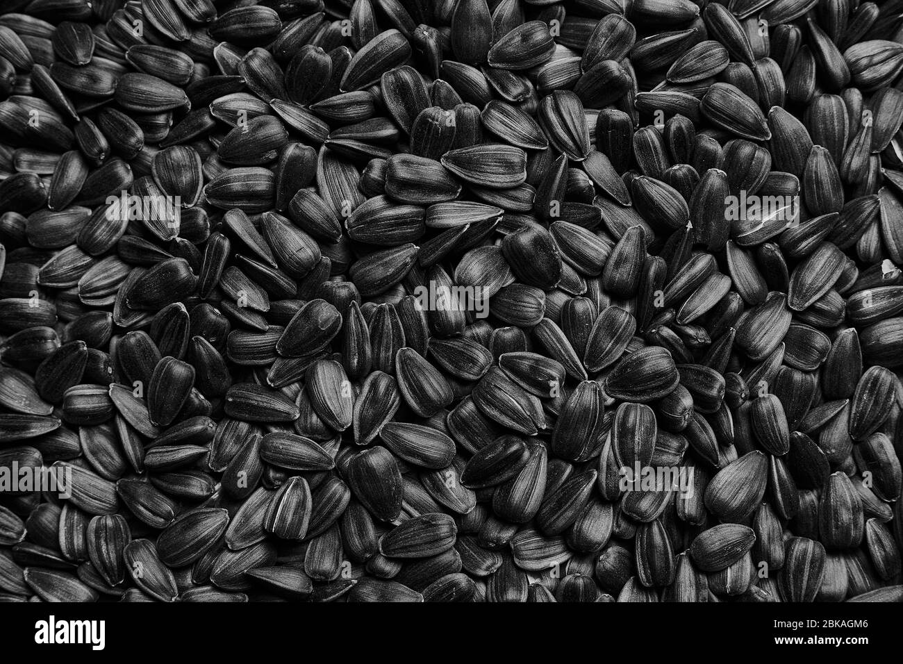 Sonnenblumenkerne Textur Hintergrund. Samen in einer schwarzen Schale, Muster. Nahaufnahme Foto von einer Menge Samen. Stockfoto