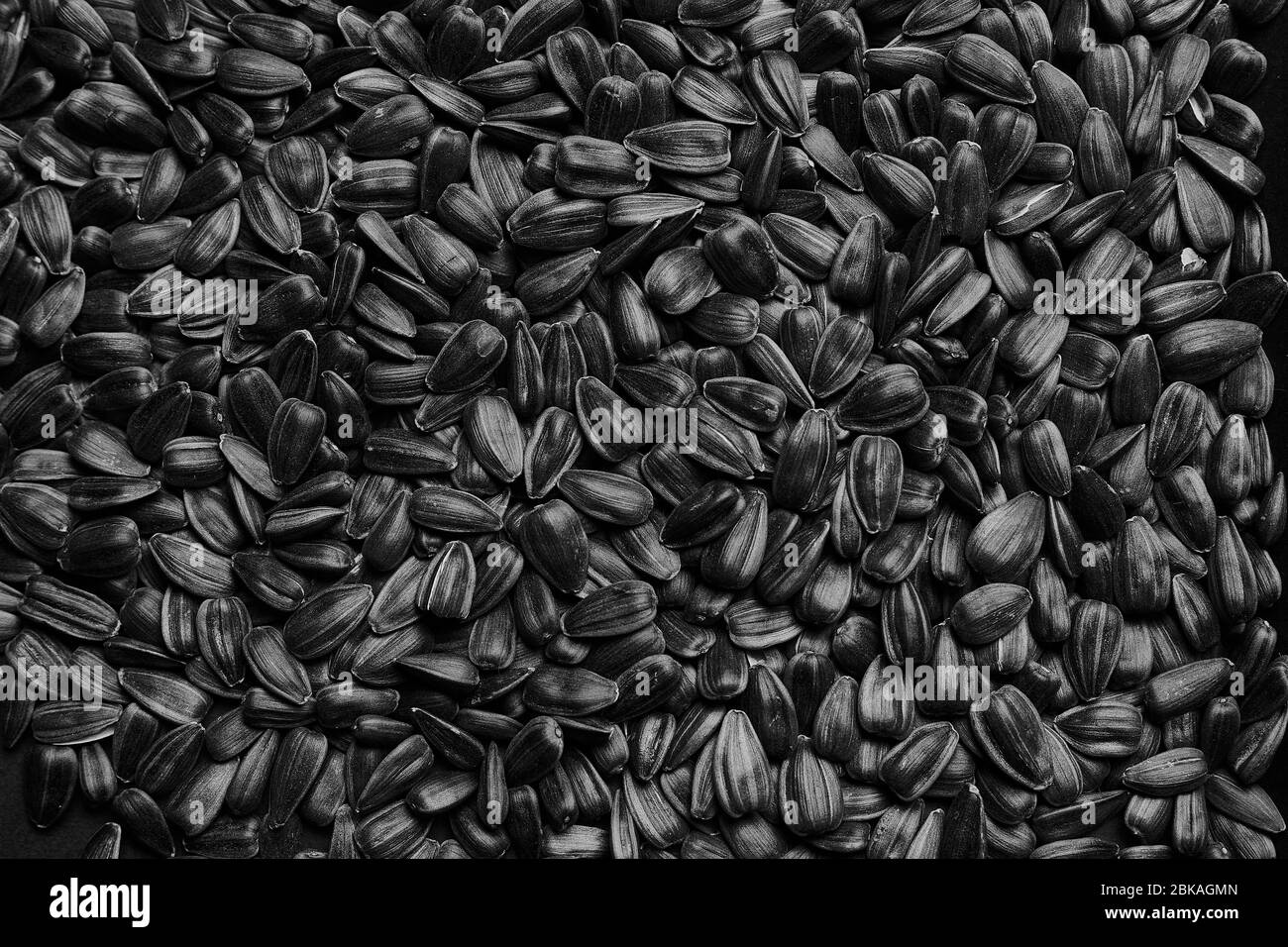 Sonnenblumenkerne Textur Hintergrund. Samen in einer schwarzen Schale, Muster. Nahaufnahme Foto von einer Menge Samen. Stockfoto