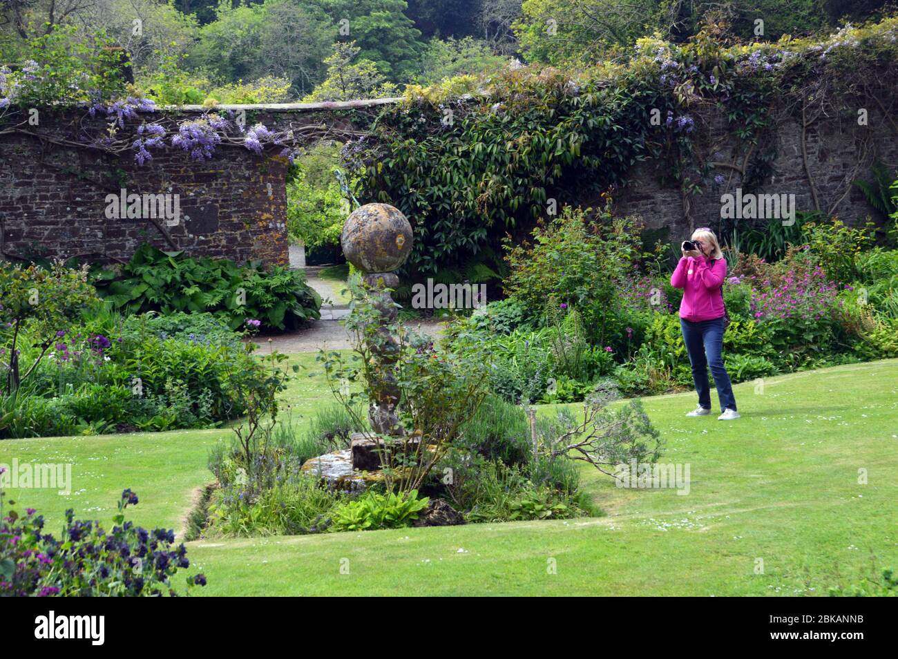 Frau, die Fotos von der Steinskulptur einer Sonnenuhr im ummauerten Garten des Hartland Abbey Estate and Gardens, North Devon macht. England, Großbritannien. Stockfoto