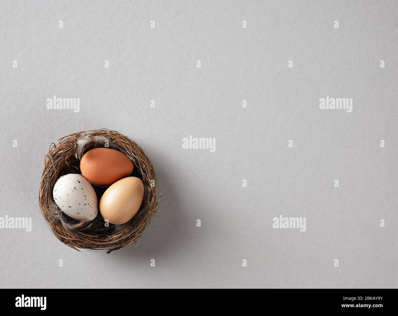 Nest der ostereier auf grauem Papier Hintergrund, Draufsicht Stockfoto