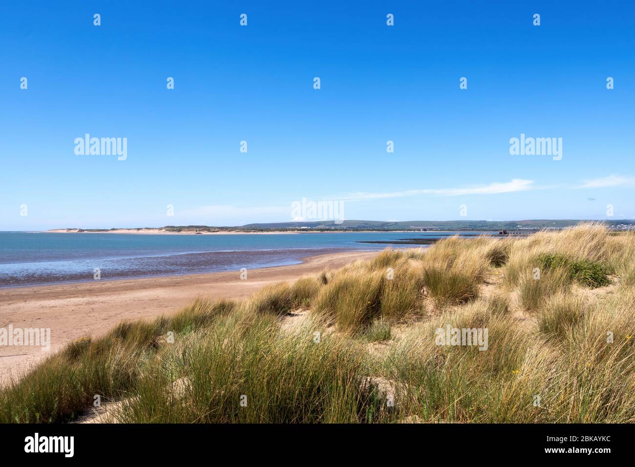 Sandstrand und Dünen mit Marram Grass, auch bekannt als Beachgrass. Ammophila arenaria. Küstenlebensraum, Instow, Nord Devon, England. Stockfoto