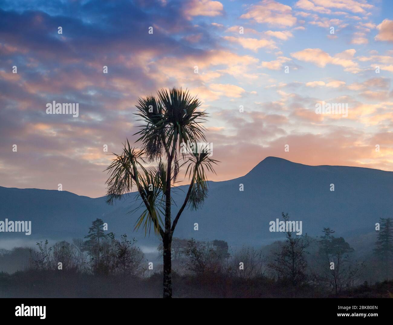 glen loy Sonnenuntergang mit Palmen, arran Stockfoto