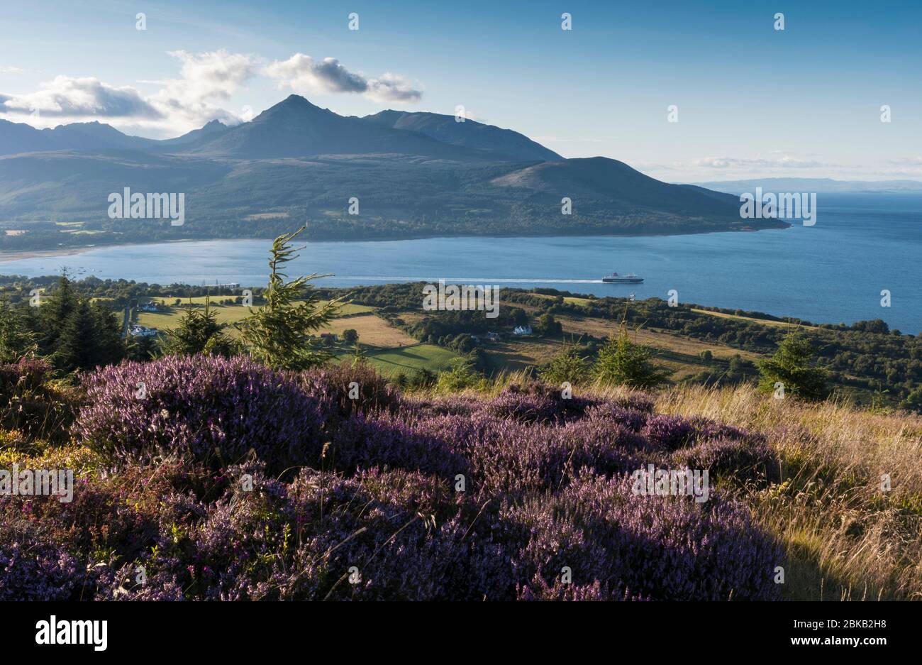 arran vista von Claghlands Point Stockfoto