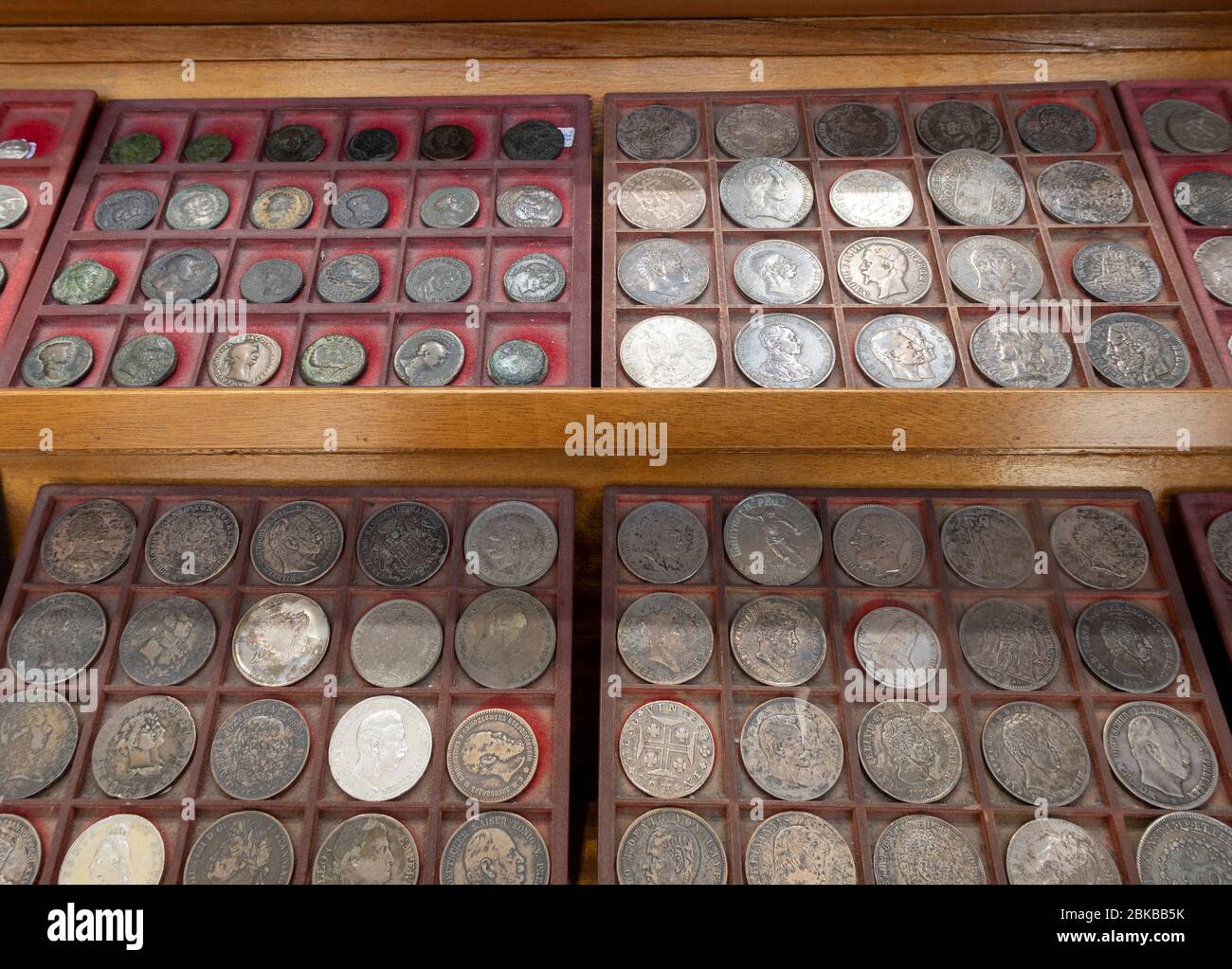 Gut organisierte Münzsammlung auf dem Display Stockfoto