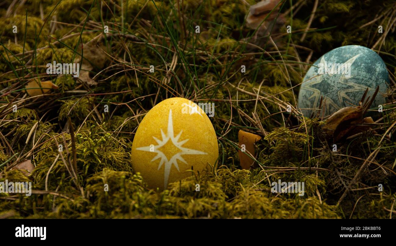 Ostern bemaltes blaues Ei mit Stern auf Moos, Essen Stockfoto