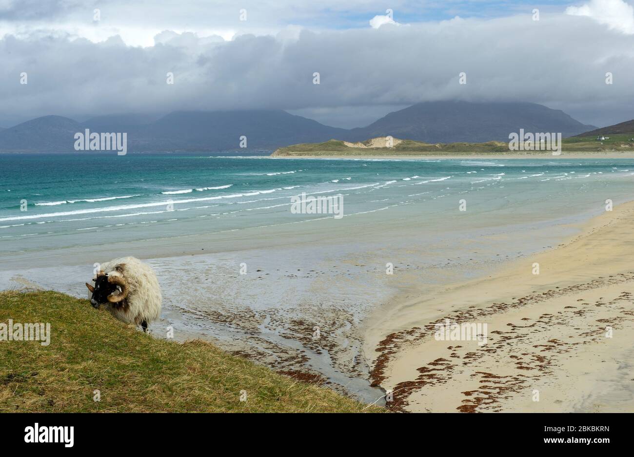 Luskentire Beach, Isle of harris, Äußere Hebriden, Schottland Stockfoto