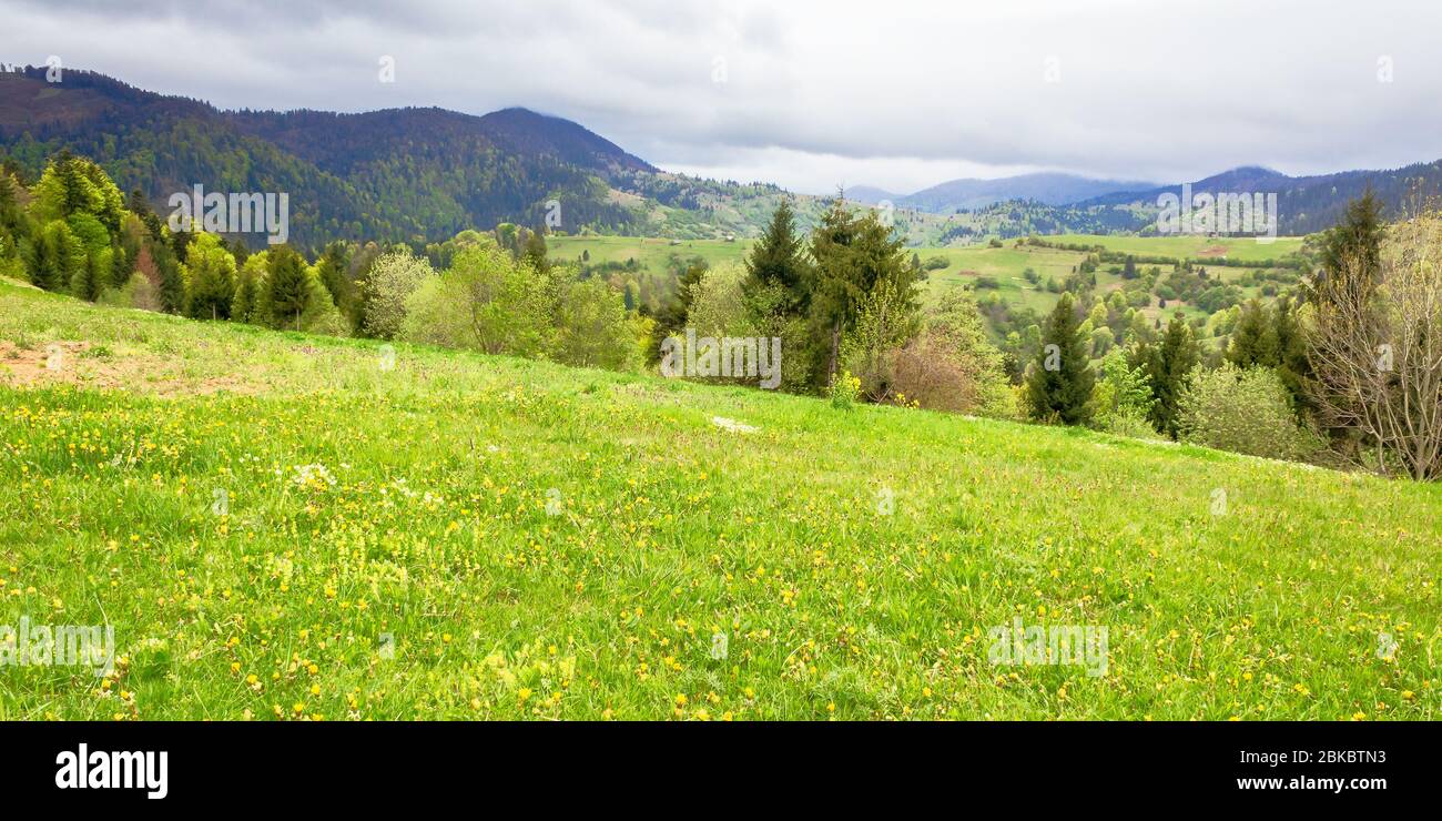 Grüne Wiesen der bergigen Landschaft. wolkiges Wetter im Frühling. Grat in der Ferne. Schönheit der ländlichen Landschaft Stockfoto