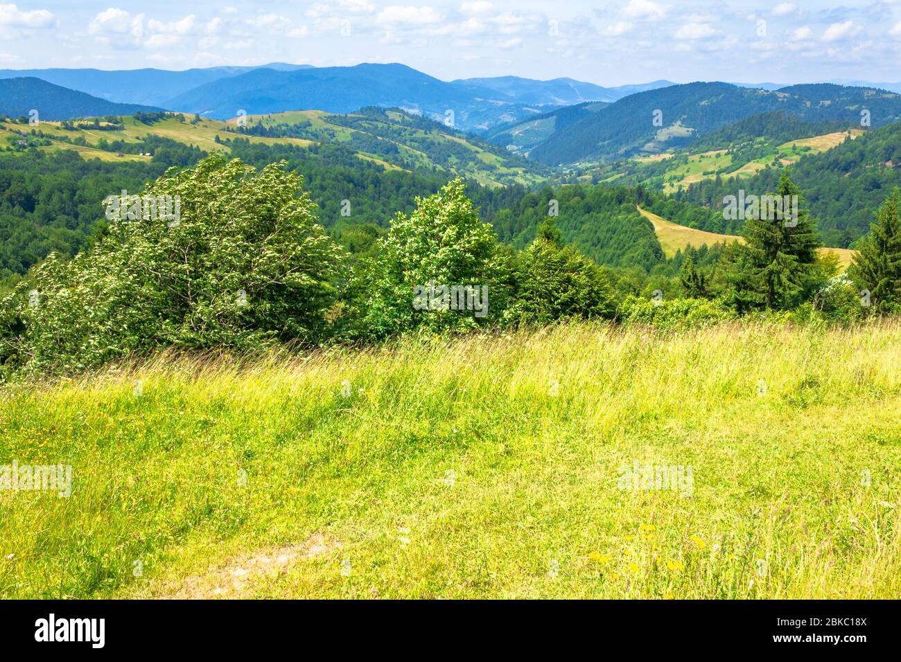 Berglandschaft im Sommer. Blauer Himmel mit flauschigen Wolken. Grünes Gras auf den Wiesen. Hügel Rollen in den entfernten Grat. Idyllische Naturlandschaft von Stockfoto