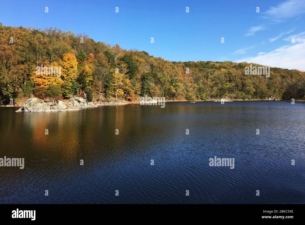 Lässt an einem sonnigen Herbsttag am Flussufer wechselnde Farben Stockfoto