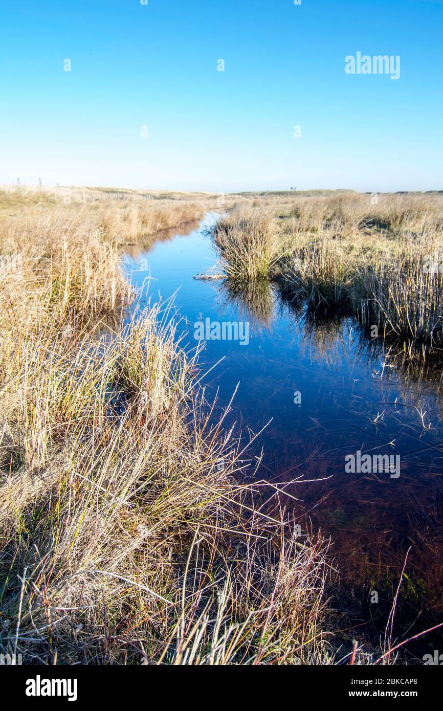 Ein kleiner Fluss im Botgat Wandergebiet, Groote Keeten. Das Wasser ist rot und teilweise noch mit Eis bedeckt. Der Weg führt zu den Dünen im Norden Stockfoto