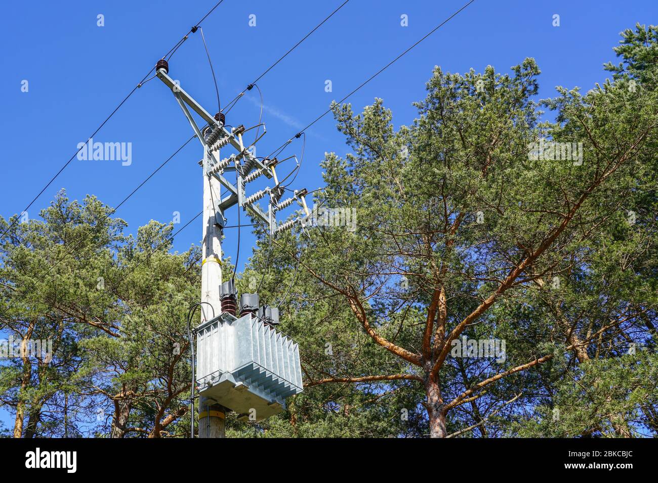 Strom Übertragungsleitung Pole mit Drähten auf einem Hintergrund aus Kiefernzweigen und blauen Himmel Stockfoto