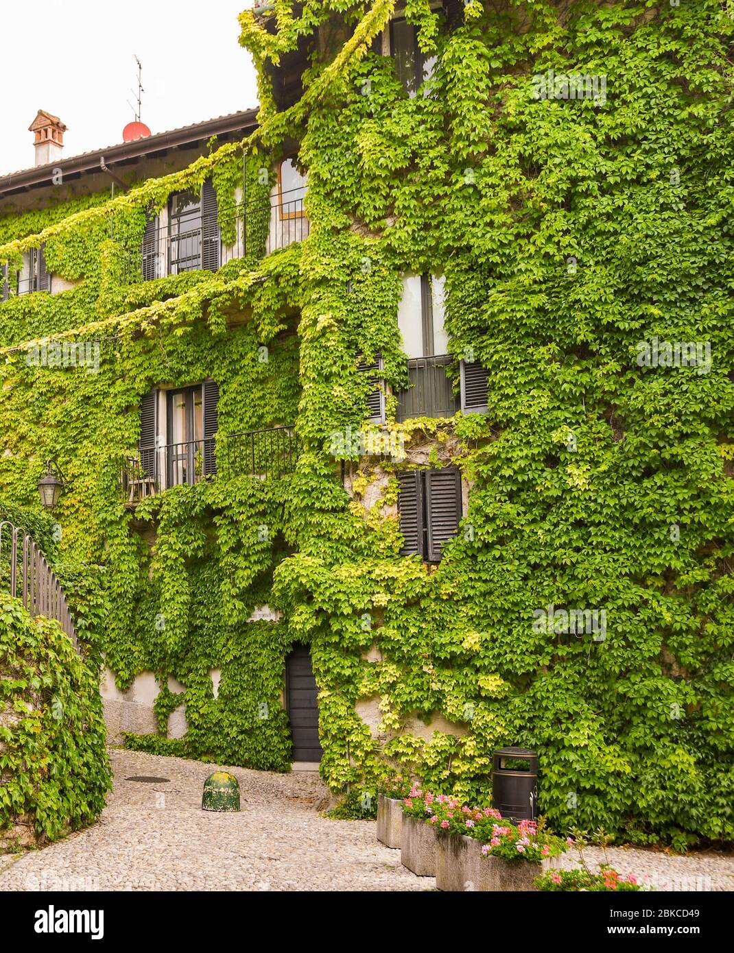 BELLAGIO, COMER SEE, ITALIEN - JUNI 2019: Haus in Bellagio am Comer See komplett mit grünem Efeu oder 'Hedera', einer immergrünen Kletterpflanze bedeckt. Stockfoto