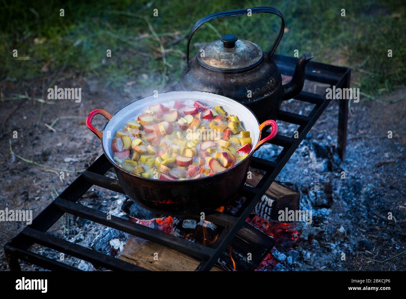 Geschmorter Rhabarber für Wüste, der draußen auf einem offenen Feuer gekocht wird, während er in Kent, Großbritannien campt Stockfoto