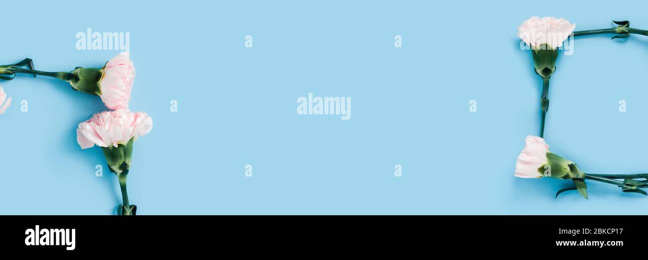 Schöne Blumenzusammensetzung. Rosa Blumen mit leerem Textbereich auf blauem Hintergrund. Flaches Lay. Stockfoto