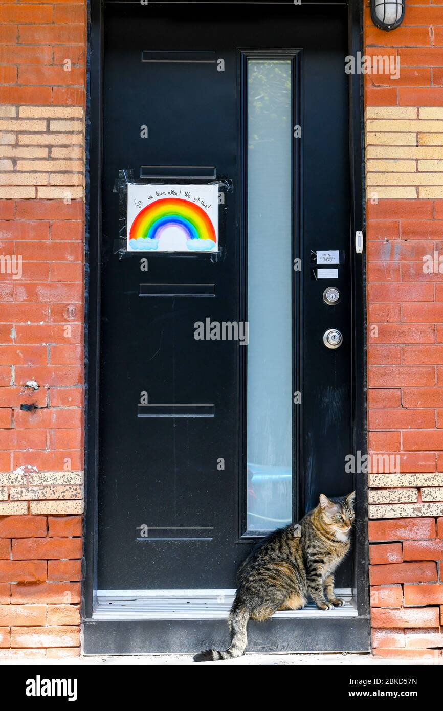 Katze vor der Tür mit Regenbogenzeichnung, Covid 19 Pandemie, Montreal Stockfoto