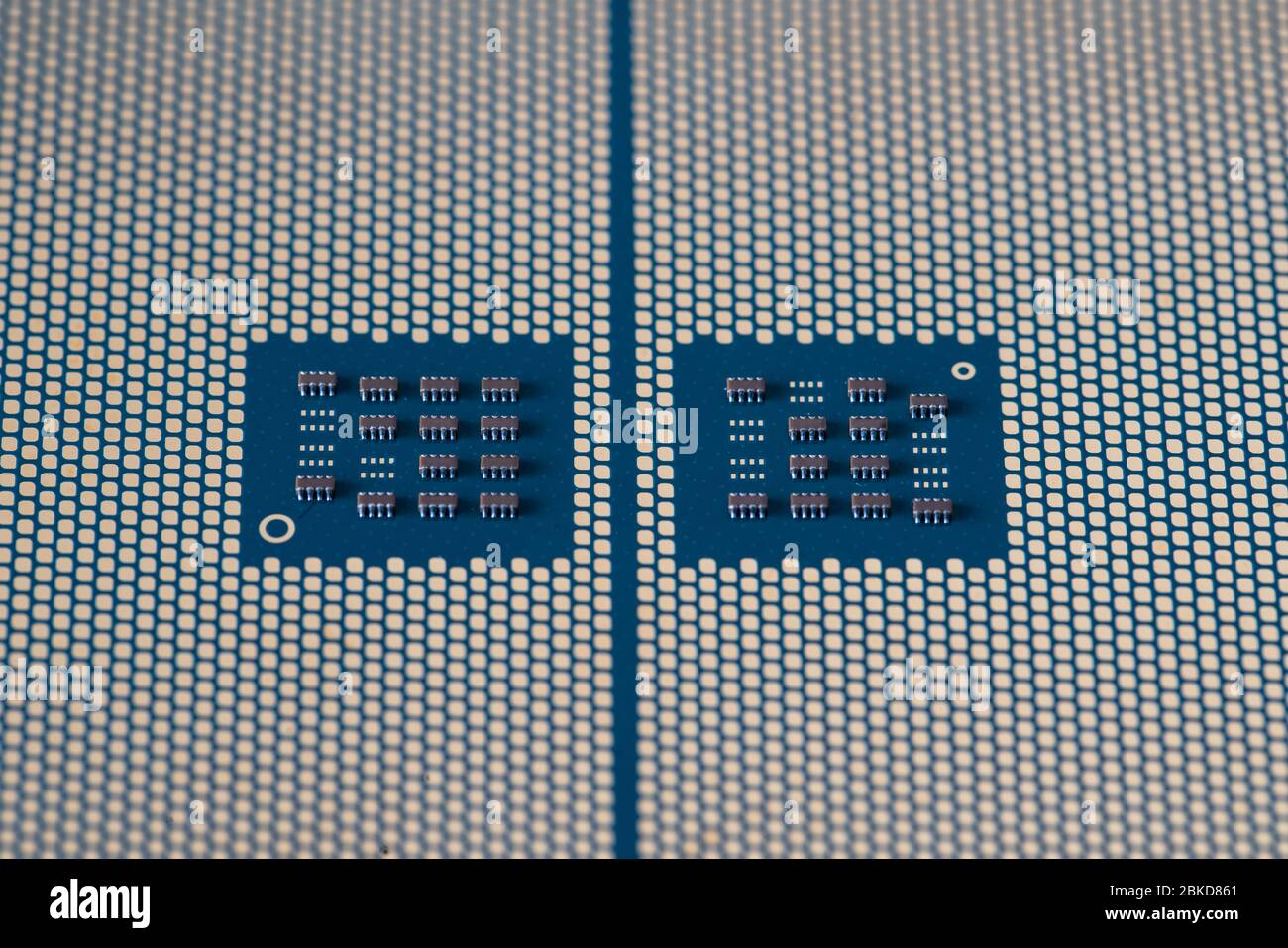 Der Prozessor ist ein kleiner Chip, der in Computern und anderen elektronischen Geräten steckt Stockfoto