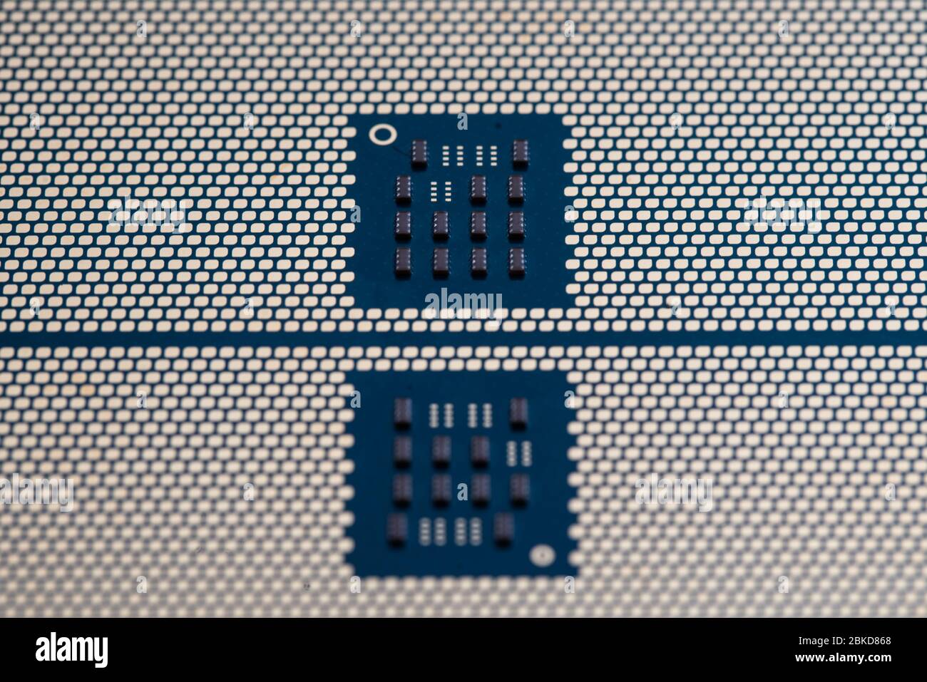 Der Prozessor ist ein kleiner Chip, der in Computern und anderen elektronischen Geräten steckt Stockfoto