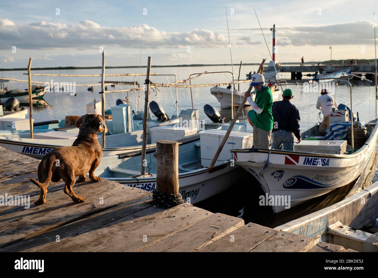 Fischer bereiten ihre Boote und Angelausrüstung vor, um bei Sonnenaufgang zu fischen. Dackel beobachten vom Dock aus, wie sein Meister das Boot vorbereitet, um zu w zu gehen Stockfoto