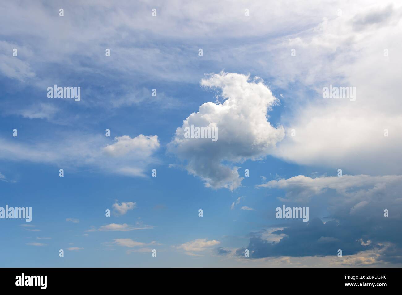 Weiße flauschige Cumulus-, stratus- und Cirrus-Wolken schweben an einem sonnigen Tag langsam hoch im blauen Himmel. Meteorologie, Wetter und verschiedene Wolkenarten Stockfoto