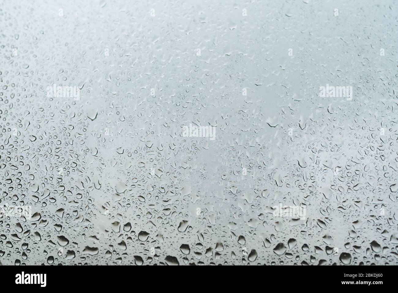 Wassertropfen auf dem grauen Hintergrund des Fensterglases. Selektiver Fokus. Stockfoto
