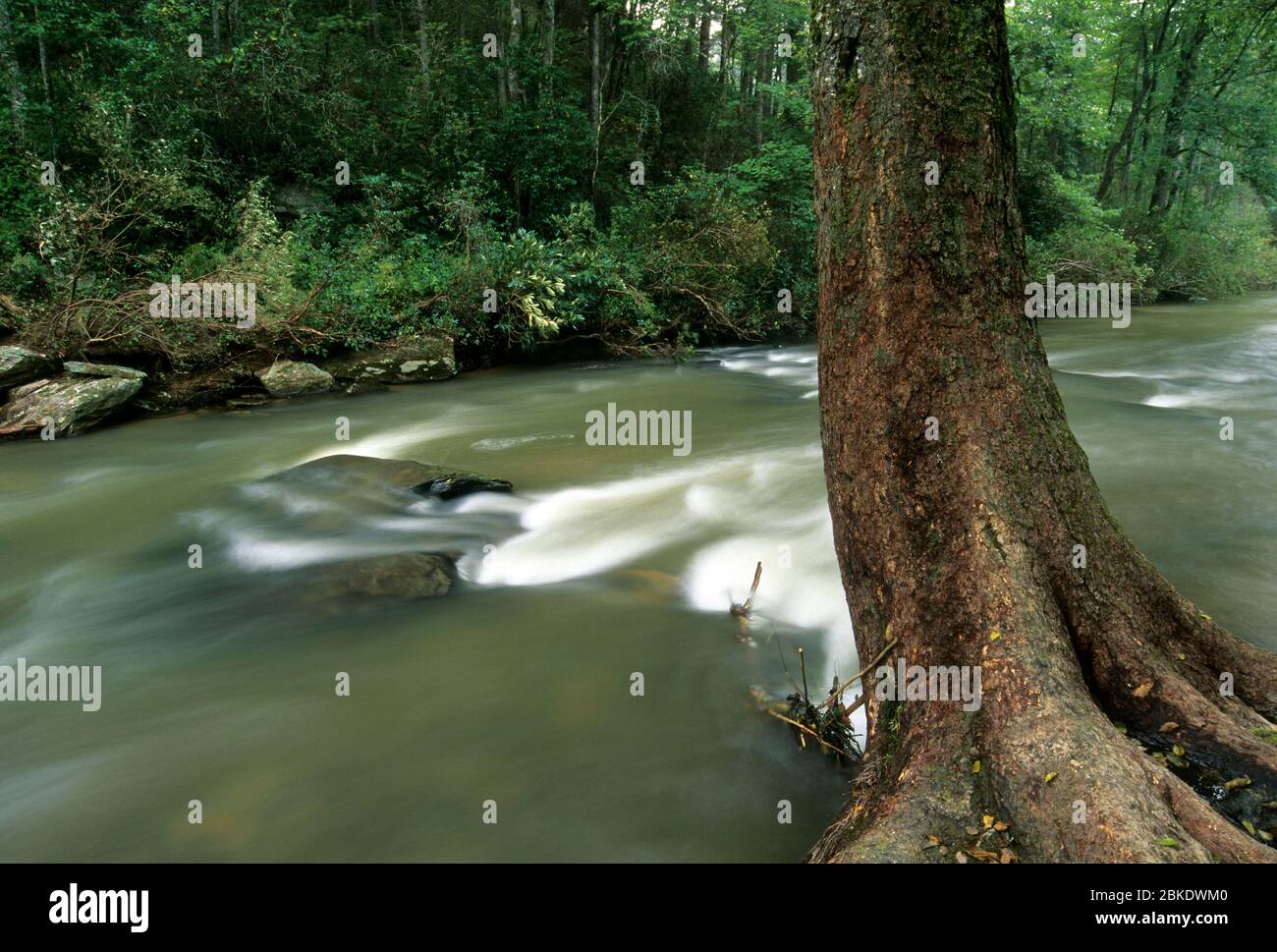 Chauga River, Chauga River Scenic Area, Sumter National Forest, South Carolina Stockfoto