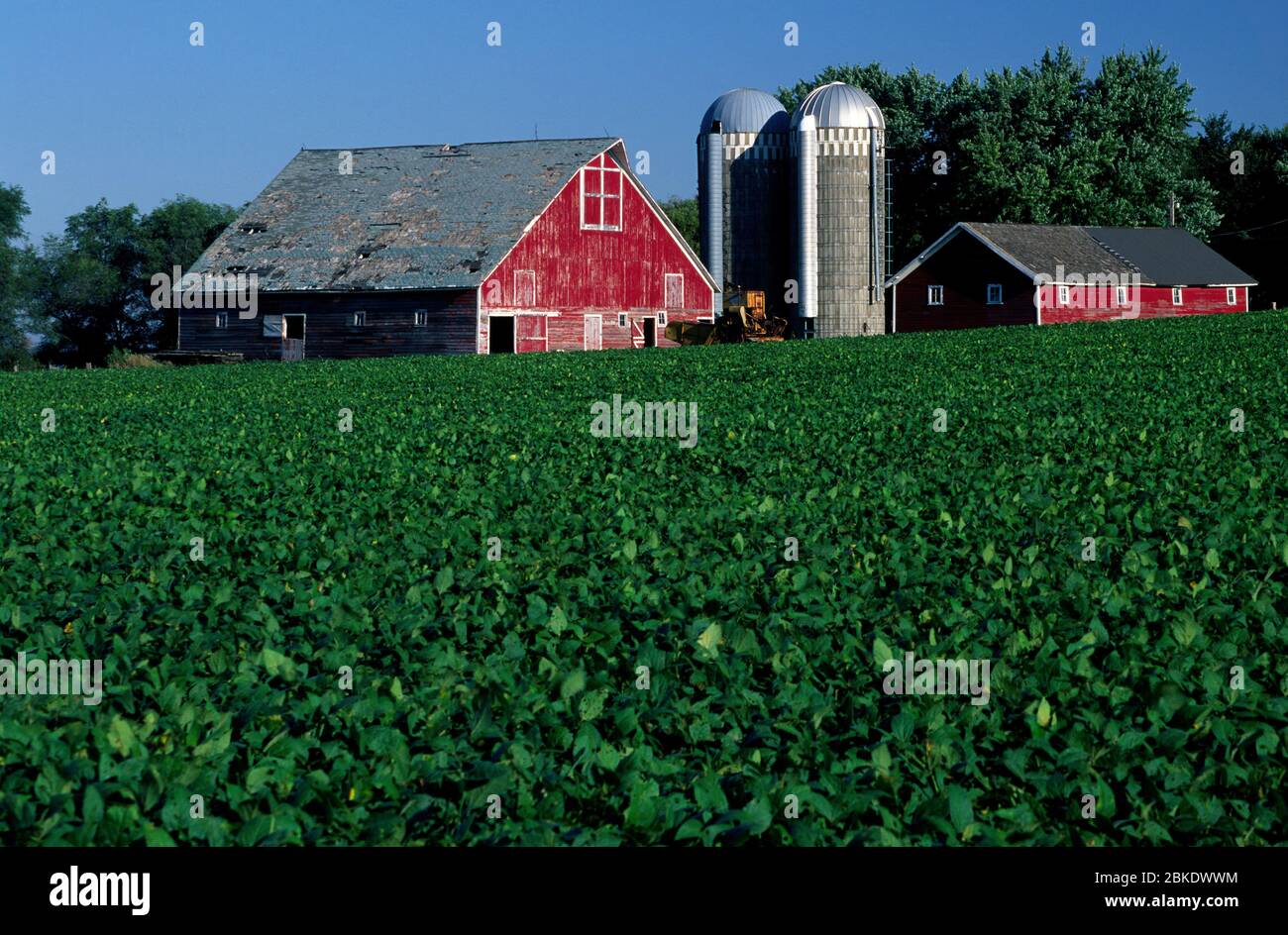 Farm, Minnehaha County, South Dakota Stockfoto