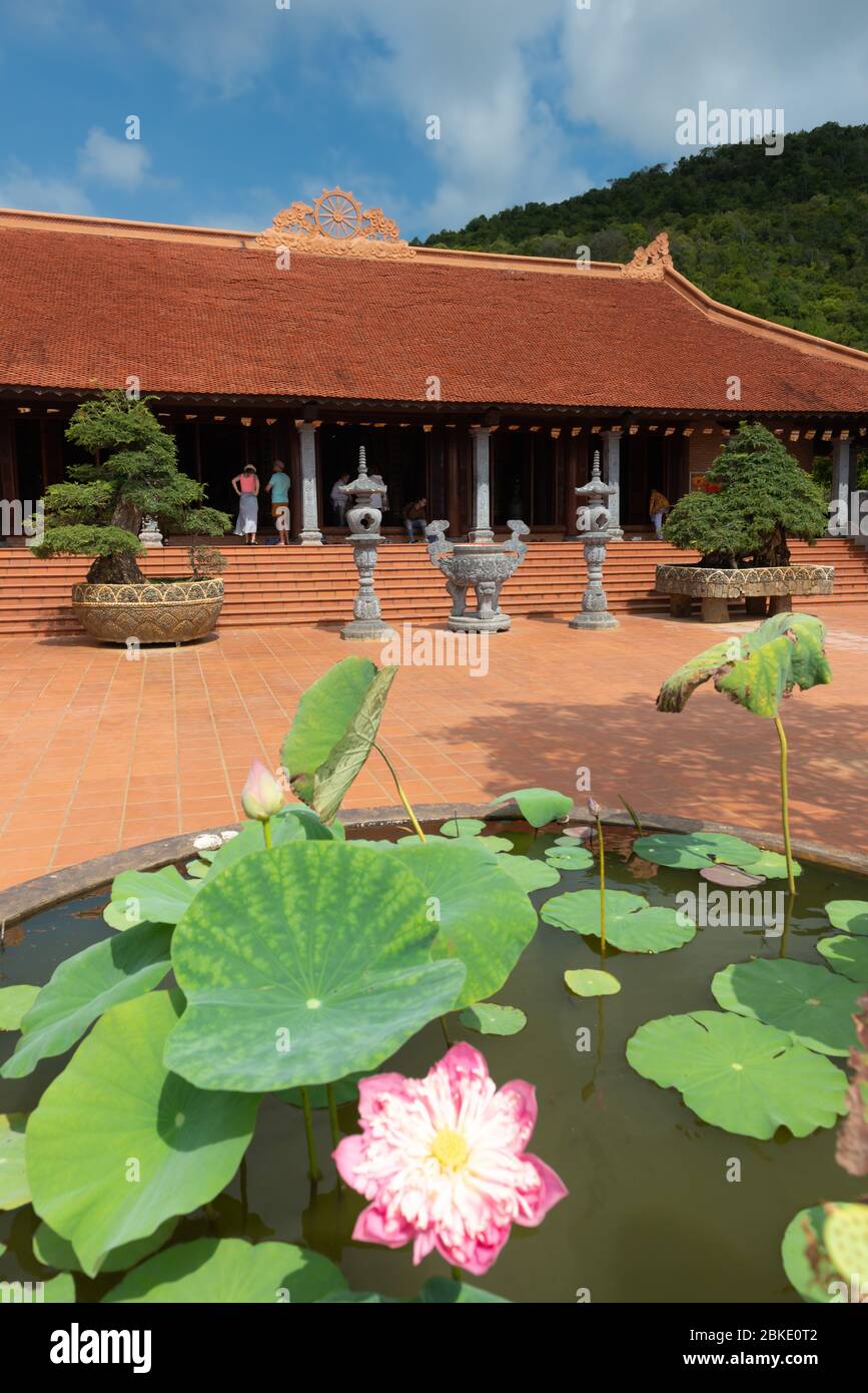 Lotusblume in Ho Quoc Buddhistischer Tempel, Phu Quoc, Vietnam Stockfoto