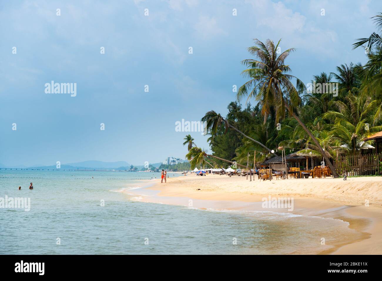 Palmenbaumhain am Long Beach, Phu Quoc, Vietnam Stockfoto