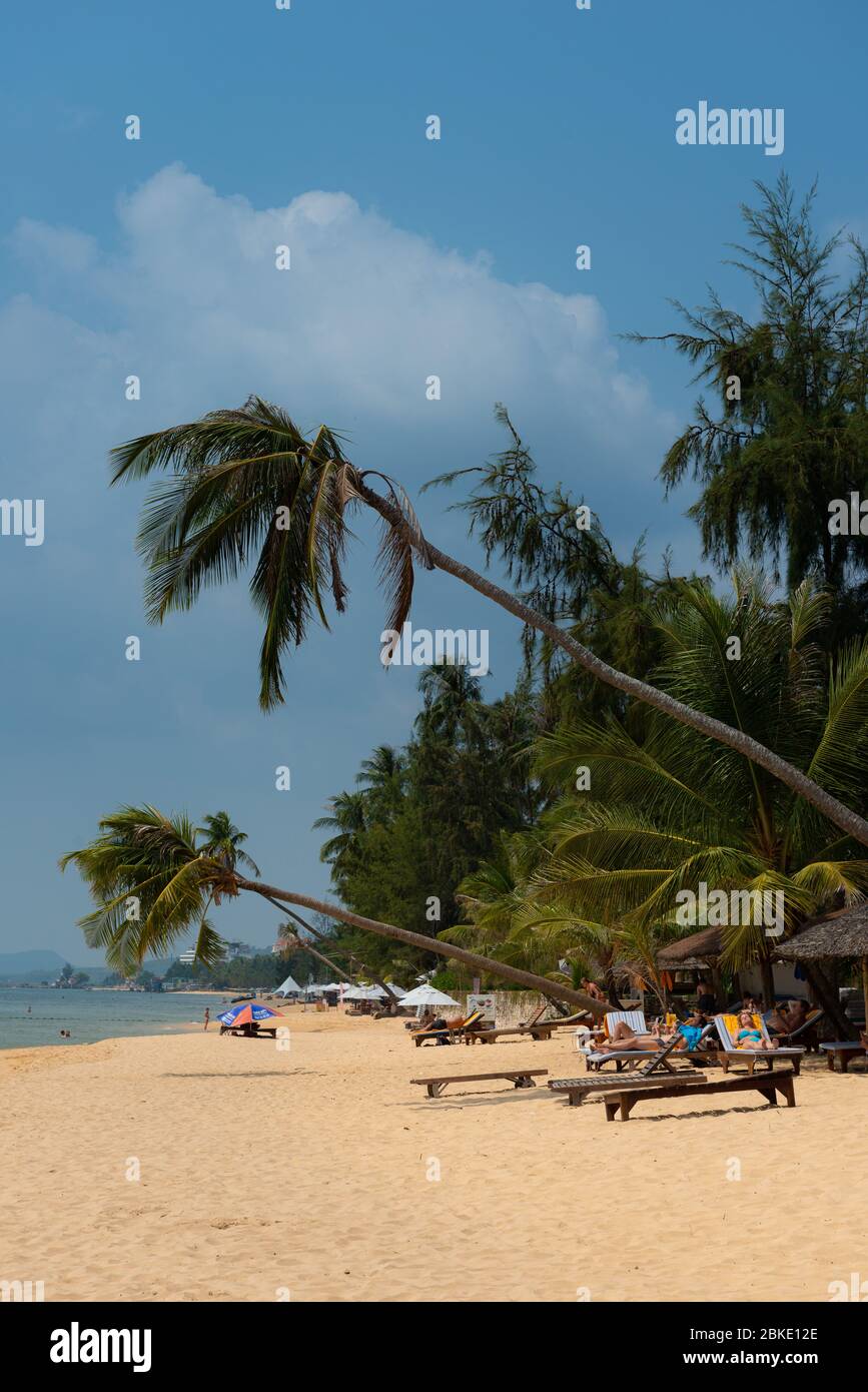 Palmen über Long Beach, Phu Quoc, Vietnam Stockfoto