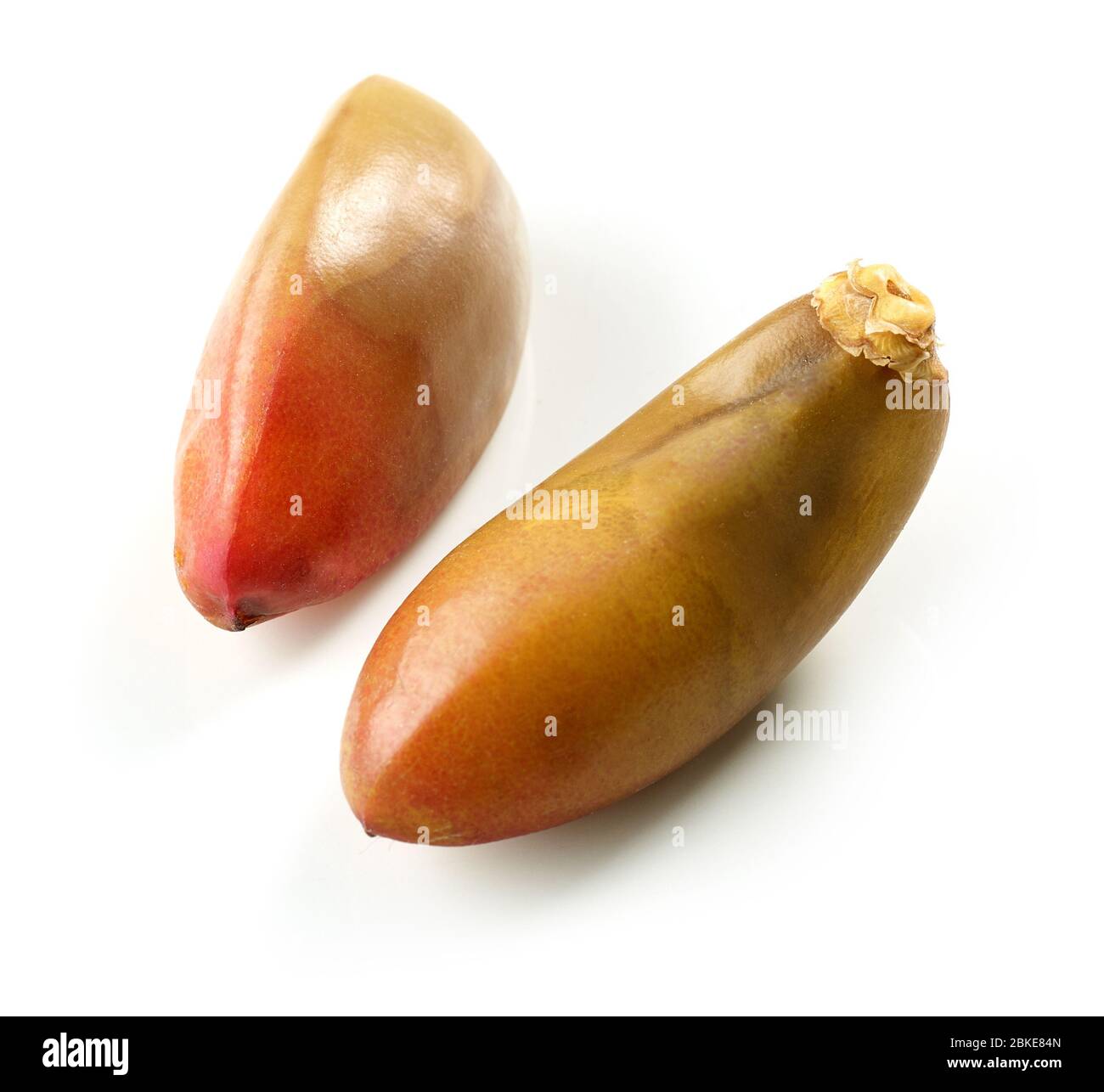 Frische rohe Datumsangaben Makro isoliert auf weißem Hintergrund Stockfoto