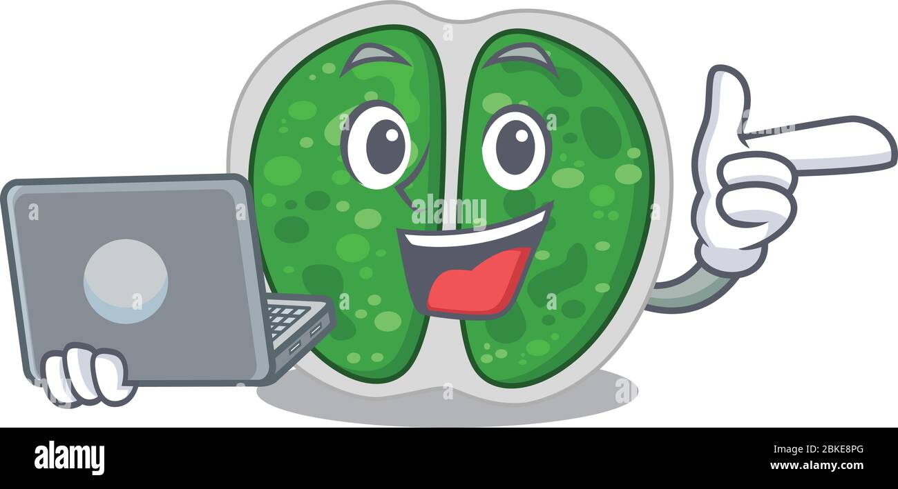 Cartoon Charakter von Chrookokken Bakterien clever Schüler studieren mit einem Laptop Stock Vektor