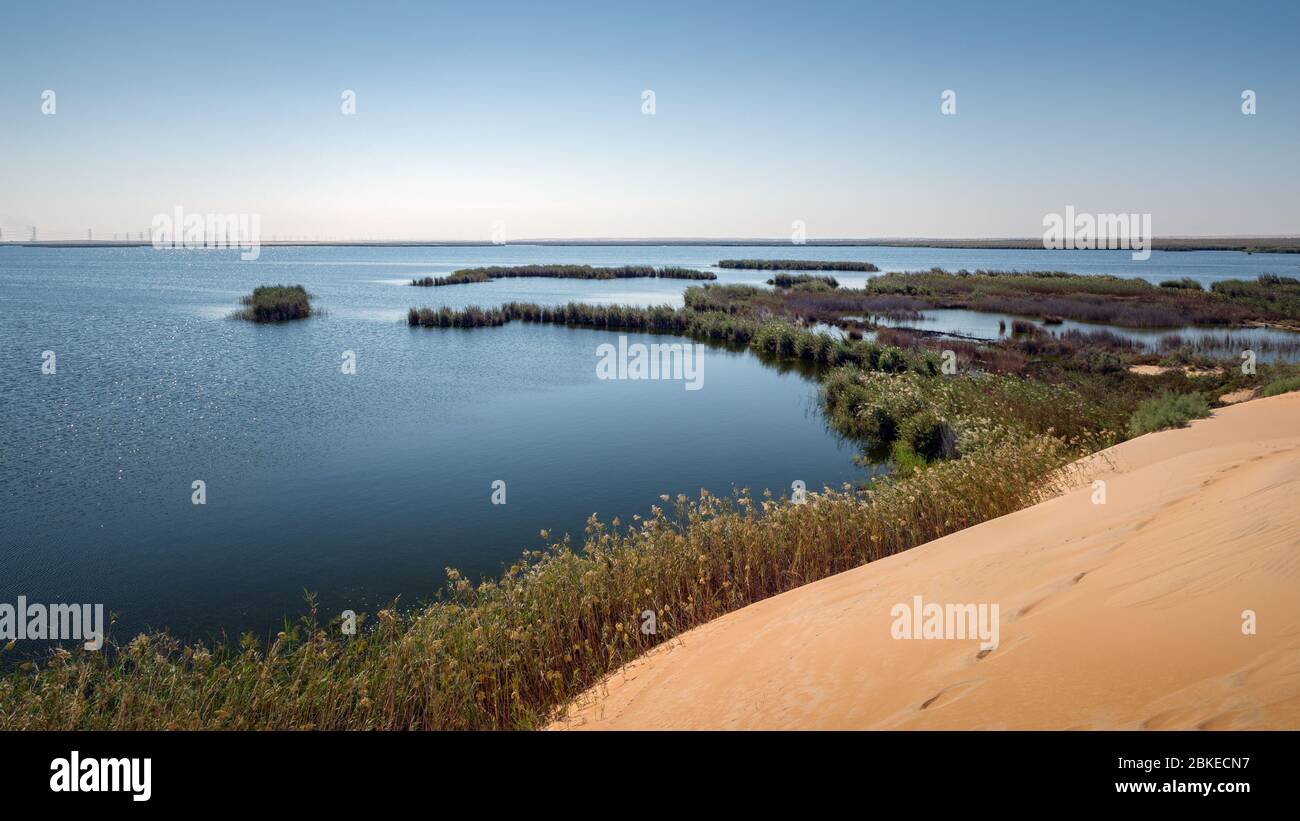 Der Gelbe See in der Wüste des Königreichs Saudi-Arabien Stockfoto