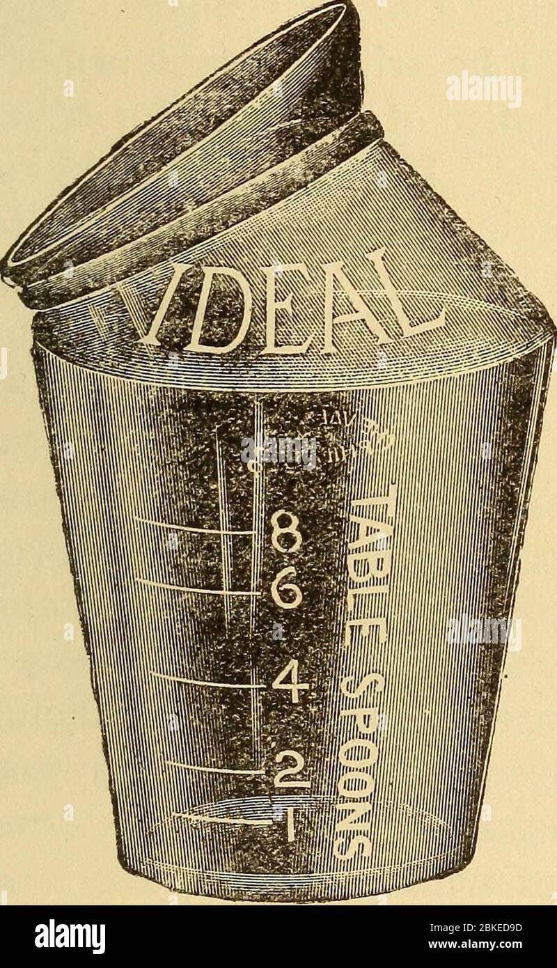 '... Frau in der Mädchenschaft, der Weiheit, der Mutterschaft; ihre Verantwortung und ihre Pflichten in allen Lebenszeiten; ein Führer in der Erhaltung ihrer Gesundheit und der ihrer Kinder' (1906) Stockfoto