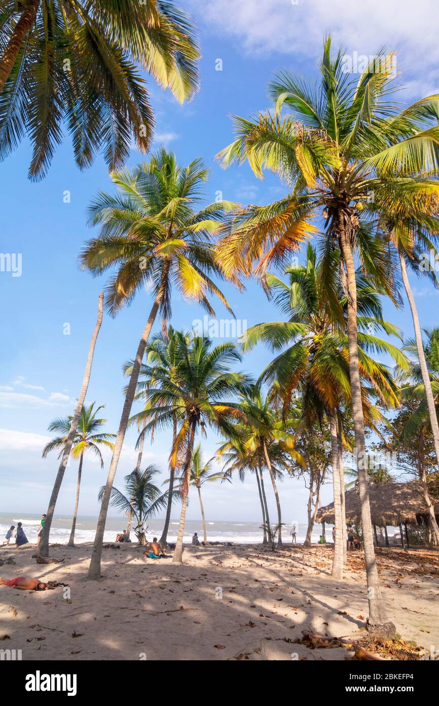 Palomino - Kolumbien, 20. Februar 2020: Palomino ein kleiner Strandort an der nördlichen Karibikküste. Mit seiner entspannten Atmosphäre ist es praktisch ein Stockfoto