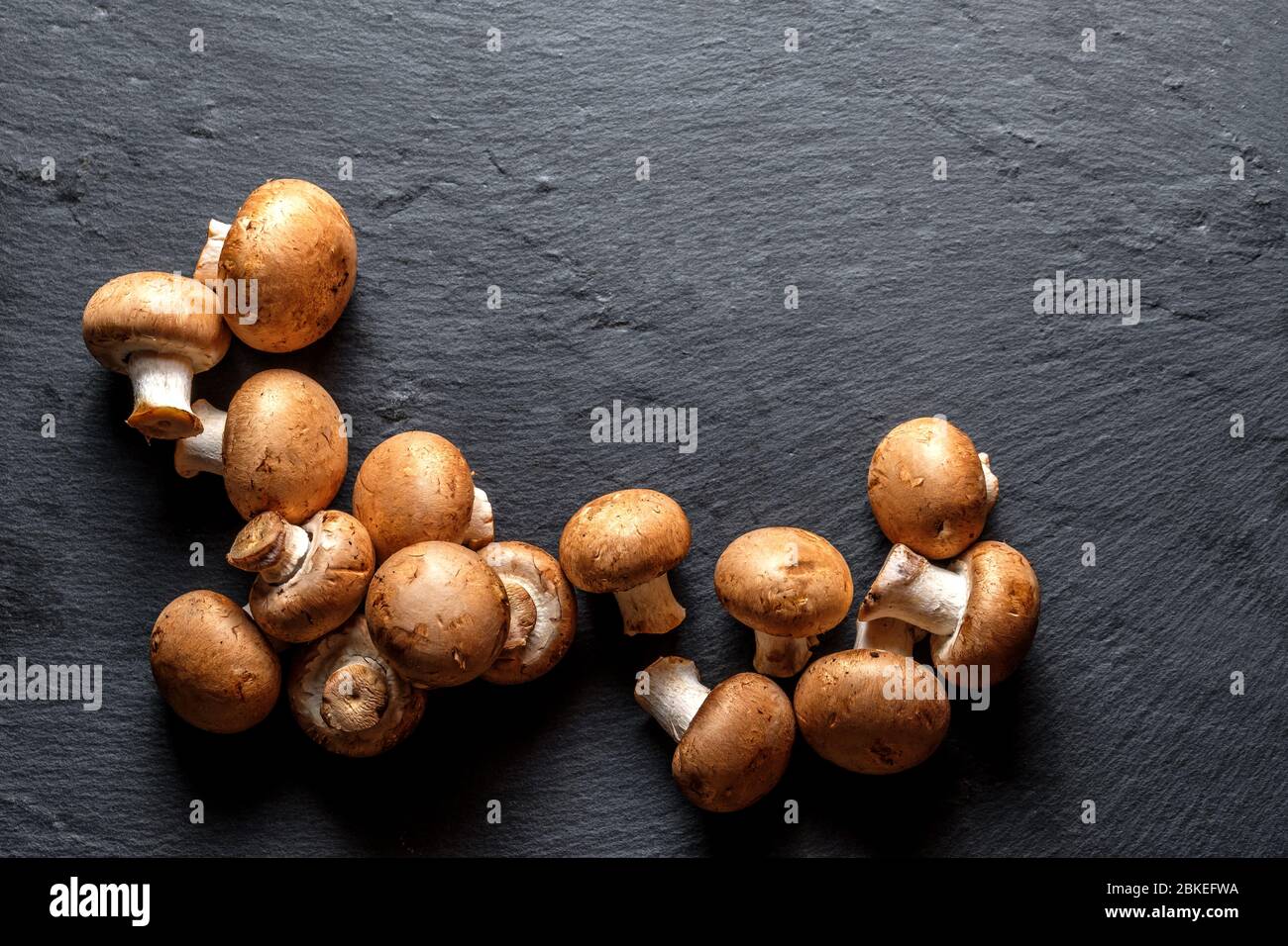 portobello Pilz Champignon isoliert auf schwarzem Hintergrund Draufsicht mit Kopierraum Stockfoto