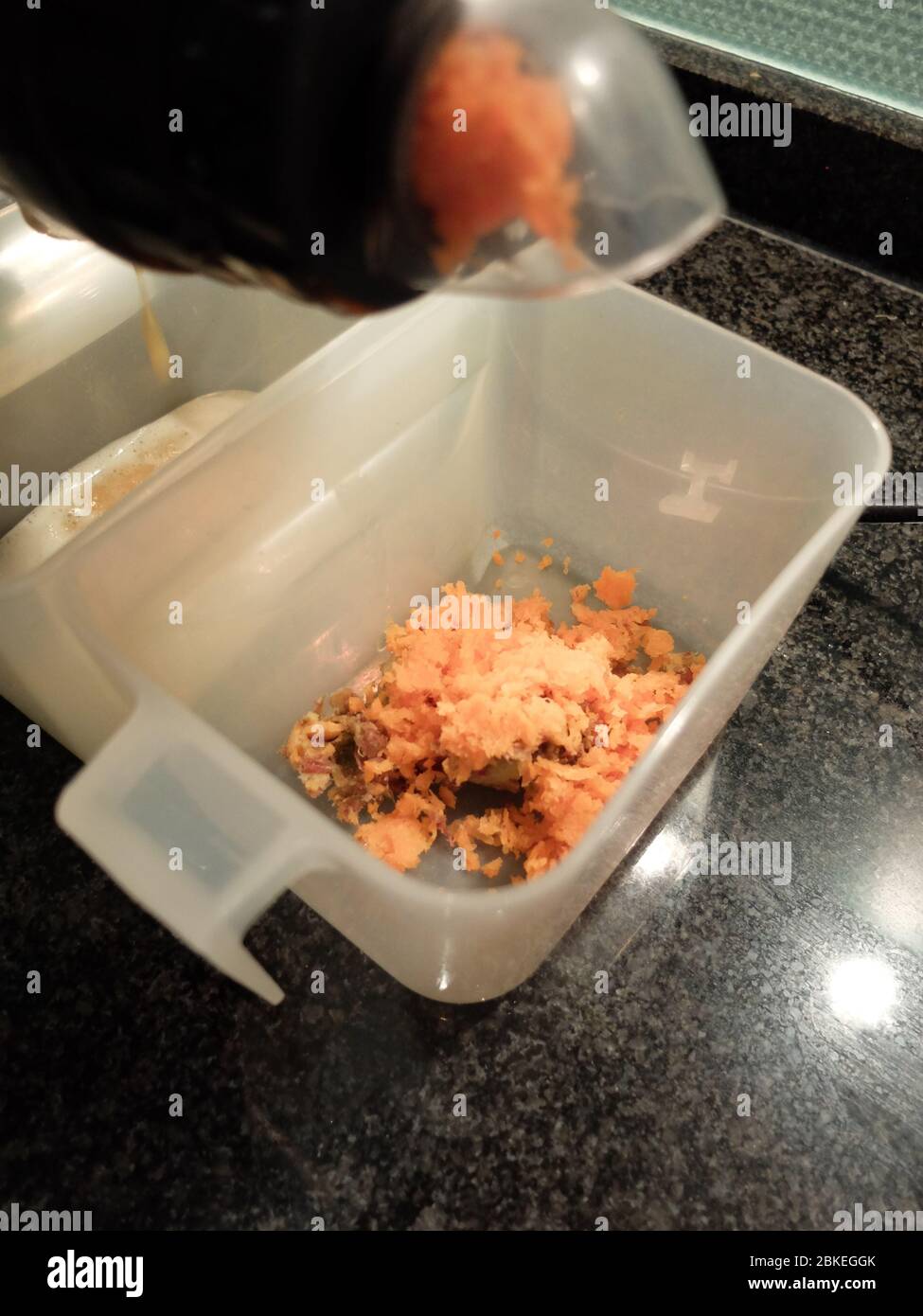 Karottensaftvorbereitung mit dem Saftextraktor Stockfoto