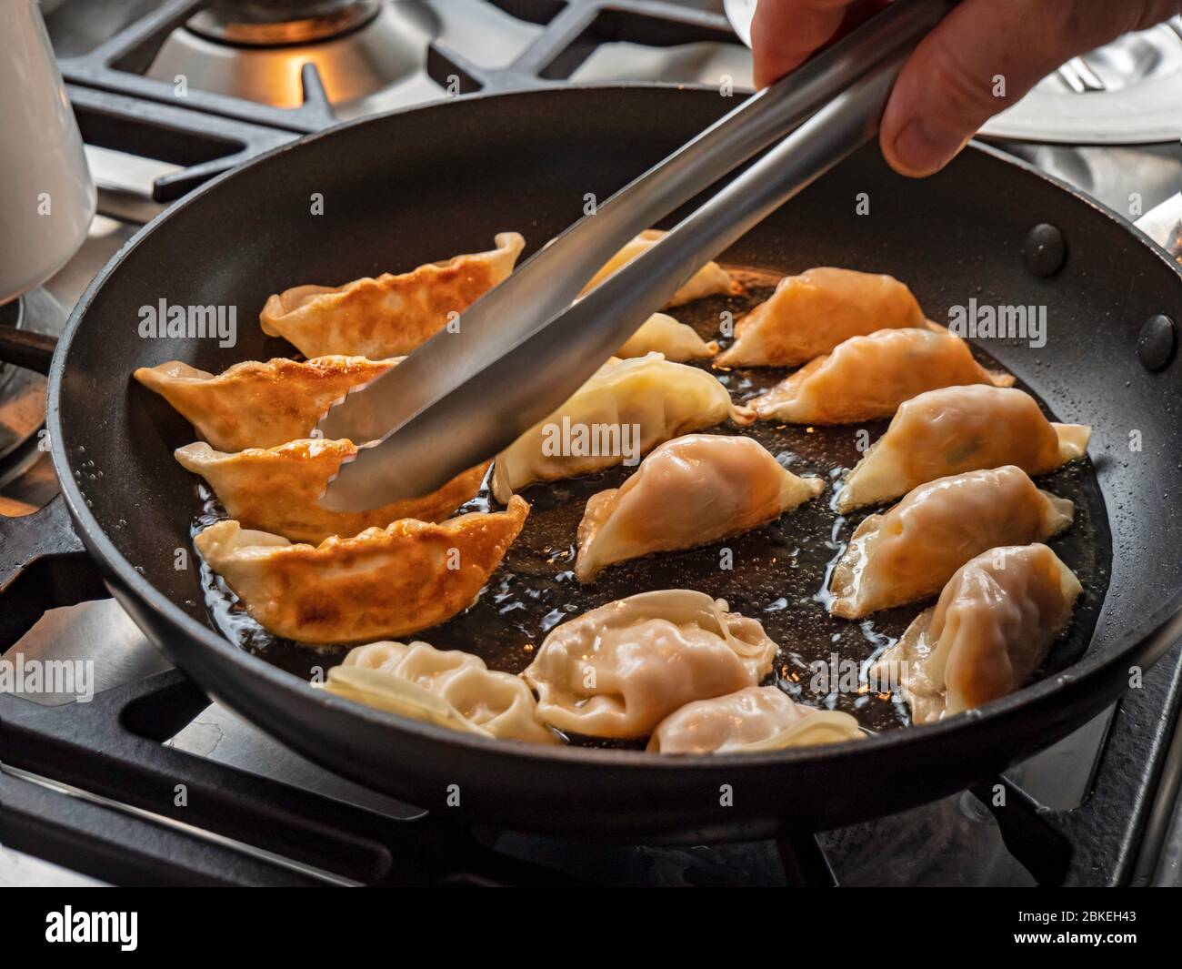 Nahaufnahme von japanischen Knödeln. Die Gyoza-Knödel kochen in einer Pfanne mit heißem Öl und werden umgedreht, um die goldbraune Außenseite zu sehen. Stockfoto