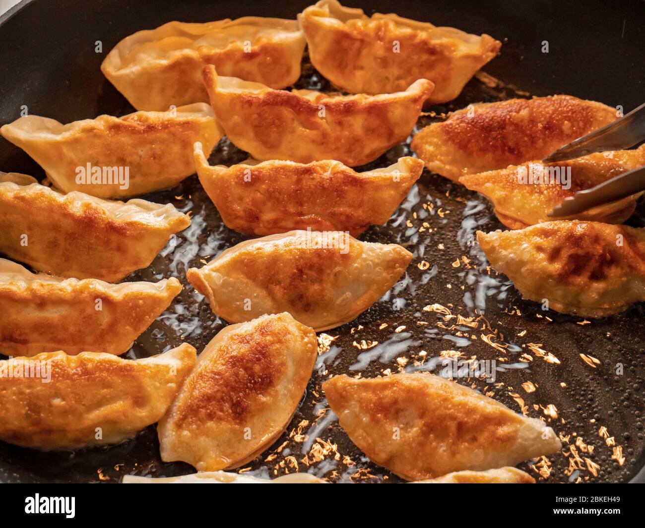 Nahaufnahme von japanischen Knödeln. Die Gyoza-Knödel kochen in einer Pfanne mit heißem Öl und werden umgedreht, um die goldbraune Außenseite zu sehen. Stockfoto