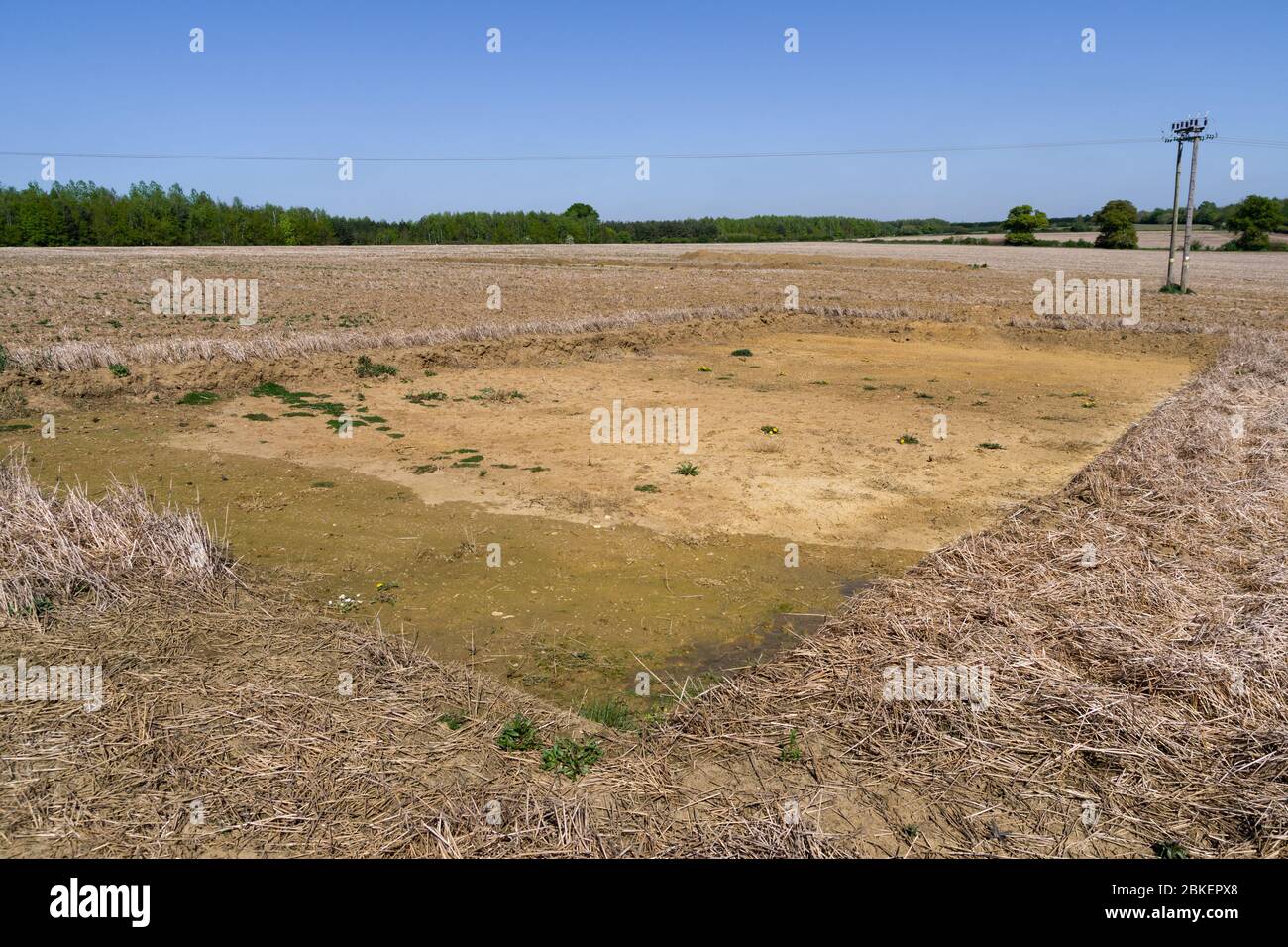 Brownfield-Site mit länglichen Ausgrabungen für archäologische Ausgrabungen vor dem Hausbau, Wootton, Northampton, Großbritannien Stockfoto