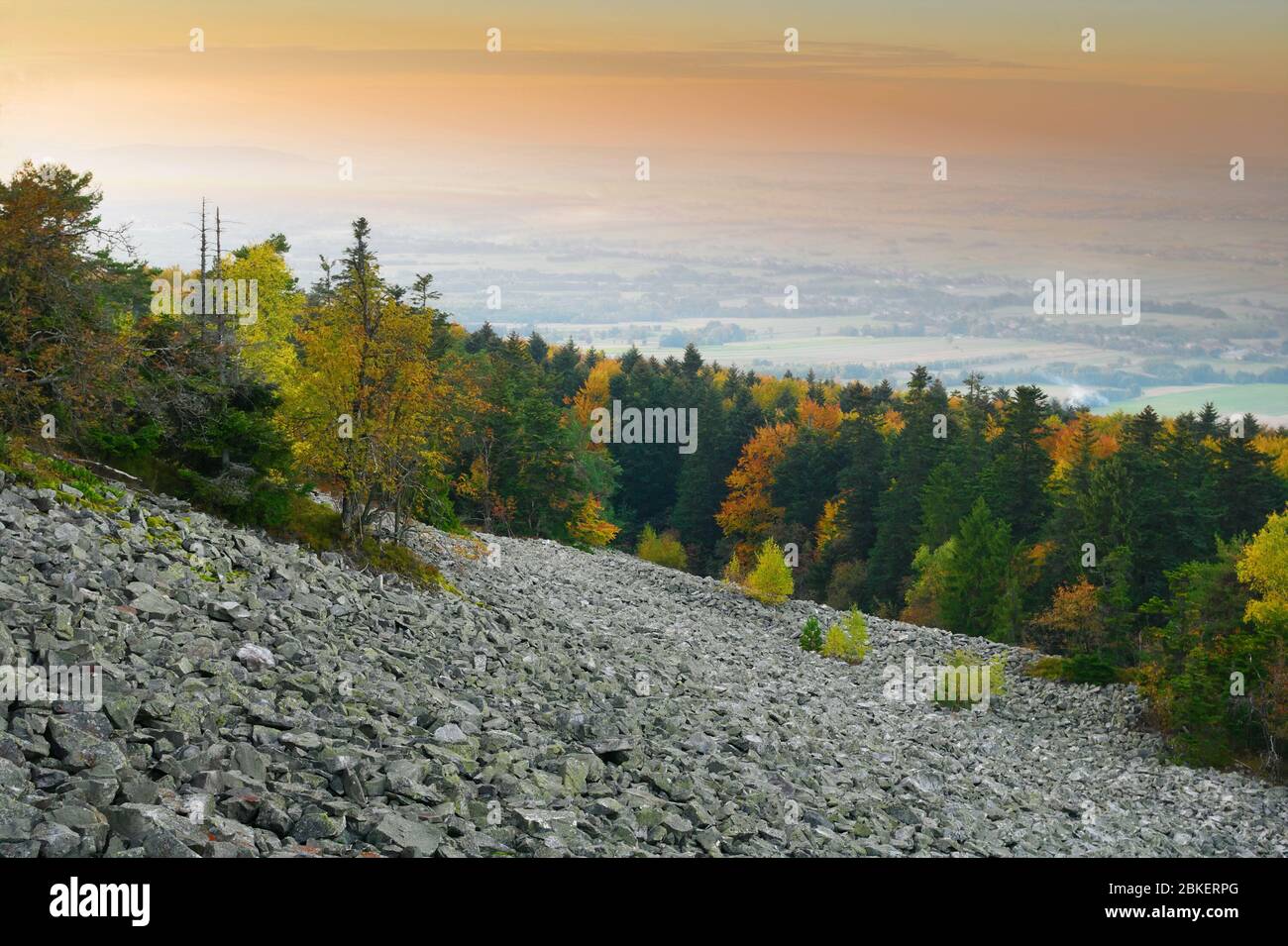 Wald in Herbstfarben auf einem steinigen Hügel von Lysa Gora (Kahlen Berg). Landschaftlich reizvolle Landschaft des Swietokrzyskie Gebirges, Polen. Stockfoto
