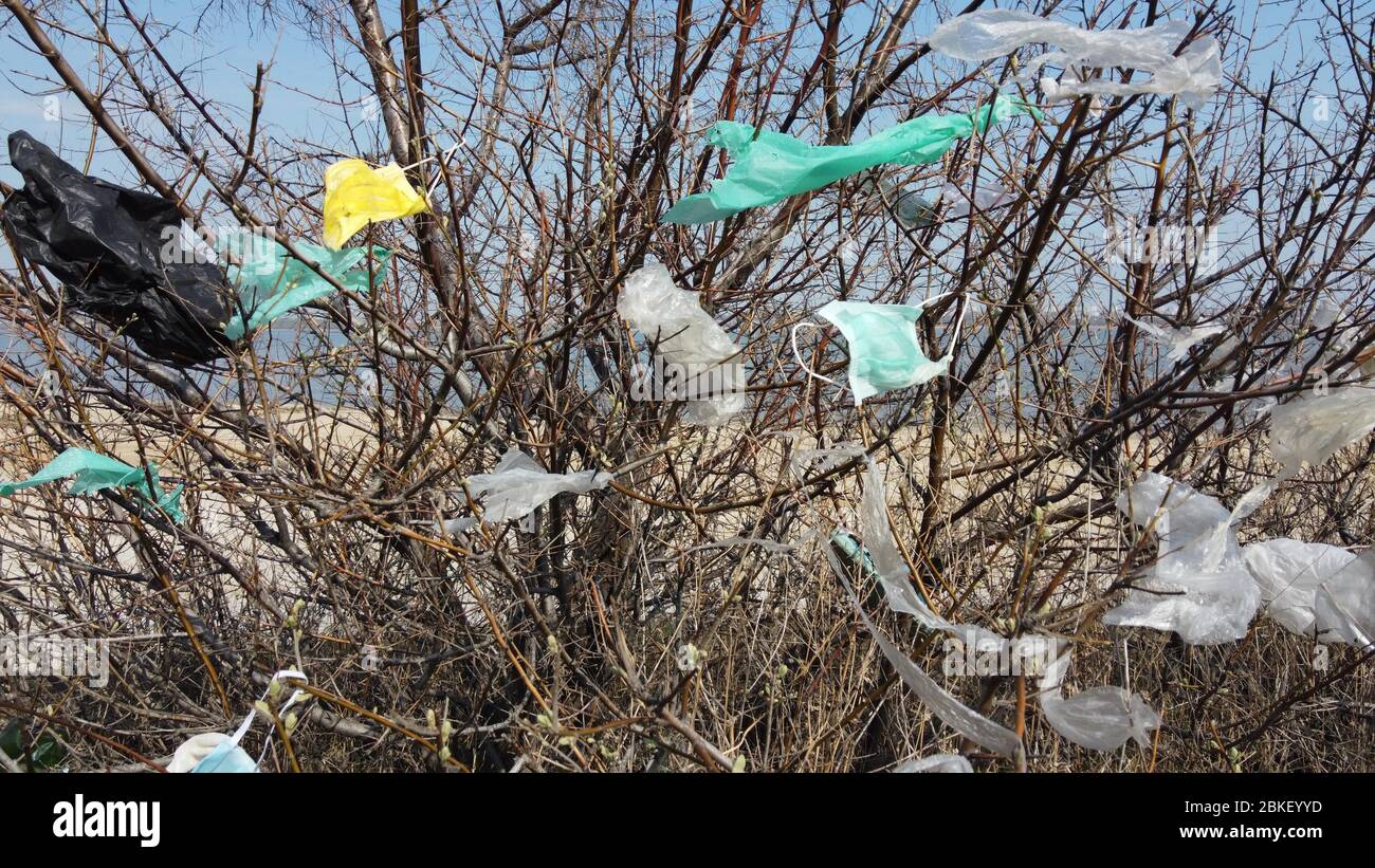 Plastikmüll in den Ästen hängen, Verschmutzung, Kuyalnik-Mündung, Schwarzes Meer, Odessa Oblast, Ukraine Stockfoto