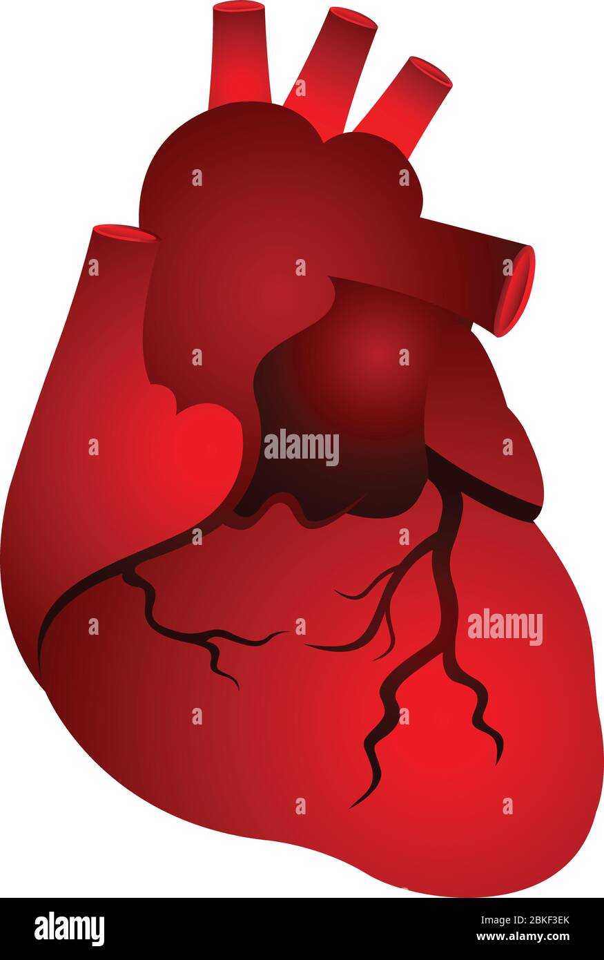 rotes Herzform Stock Vektor