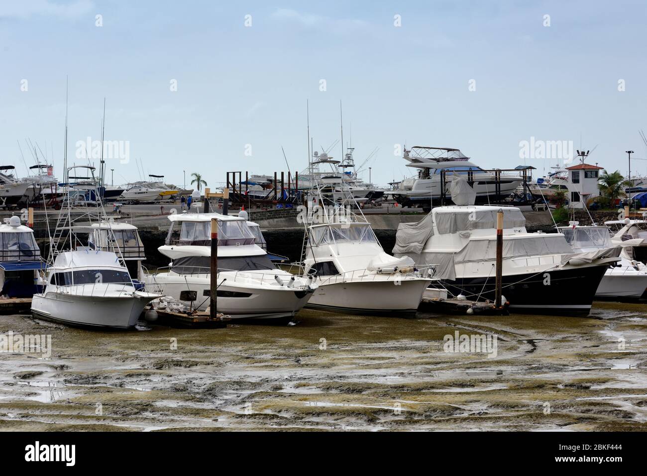 Reihe von Vergnügungsbooten bei Ebbe, Panama City, Panama Stockfoto